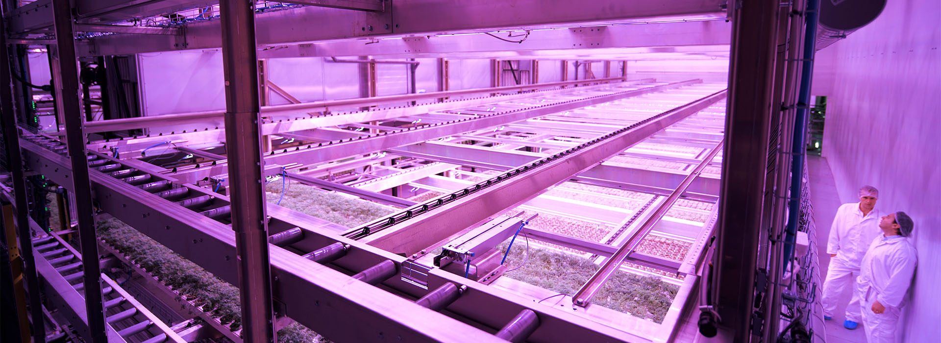 A vertical farming facility improves eco-friendliness by recycling energy